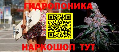 ECSTASY Будённовск
